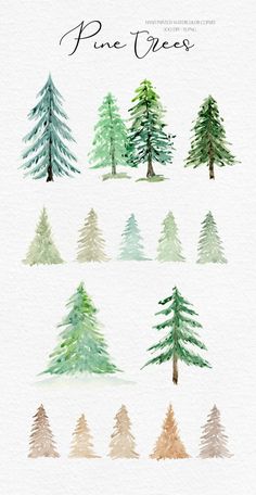 pine trees painted in watercolor on white paper with the words pine trees above them