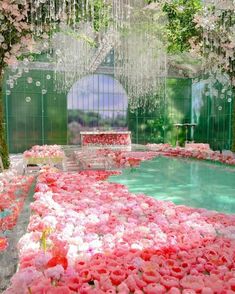 pink and white flowers are floating in the water inside a glass walled room with green walls