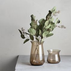 there are two vases with plants in them