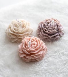 three different colored flowers sitting on top of a white furnishing floor next to each other