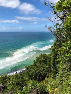 an ocean view from the top of a hill with trees and bushes in front of it