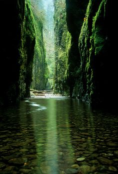 an image of a river that is surrounded by rocks and mossy trees in the background