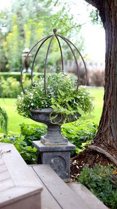 a potted plant sitting on top of a wooden bench in front of a tree