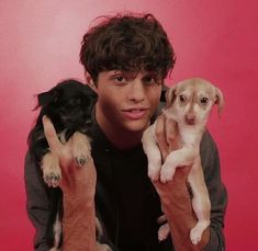 a young man holding two puppies in his hands