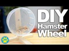 a hamster wheel on top of a table with the words diy hamster wheel