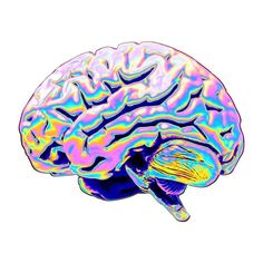 a drawing of a human brain on a white background with blue, yellow and pink colors