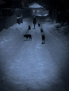 two people walking down a snowy street with dogs on leashes in front of them