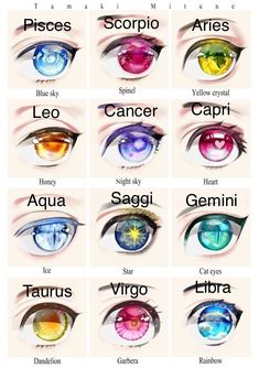 the different types of eyes and their names