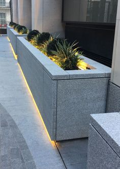 an outdoor planter with plants in it on the side of a building at night