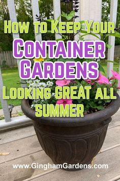 a potted plant sitting on top of a wooden deck with text overlay that reads how to keep your container gardens looking great all summer