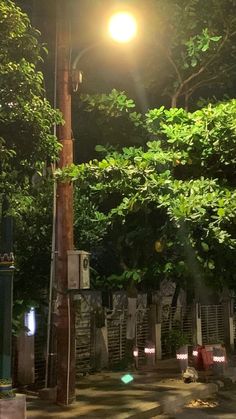 a street light on a pole in the middle of a tree lined road at night