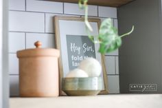 a potted plant sitting on top of a wooden shelf next to a framed photograph