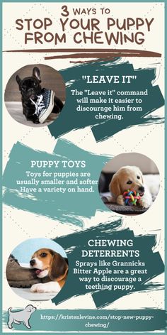 a poster with different types of dogs and their owner's names on it, including the words stop your puppy from chewing