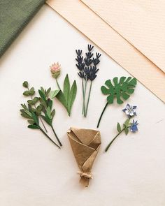 flowers and leaves are arranged on a white surface