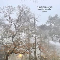 a foggy forest with trees in the foreground and an inspirational quote on it