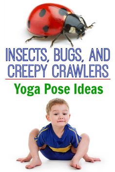 Insects, bugs, and creepy crawlers kids yoga! Pose like a ladybug, fly or worm! Preschool Yoga, Yoga Pose Ideas, Toddler Yoga, Childrens Yoga, Creepy Crawlers, Pediatric Physical Therapy, A Ladybug