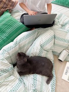 a black cat laying on top of a bed next to a person with a laptop