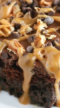 a piece of chocolate cake covered in caramel drizzle and chopped walnuts