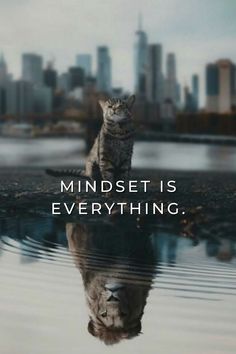 Motivational Quotes Mindset Is Everything, Inspirational Quotes Wallpapers, Strong Mind Quotes, Business Inspiration Quotes, Postive Life Quotes, Positive Quotes For Life Motivation, Motivational Wallpaper, Motivational Picture Quotes