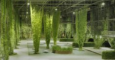 an indoor garden with lots of plants growing on the walls and in the ground, surrounded by metal structures