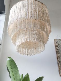 a chandelier hanging from the ceiling next to a potted plant