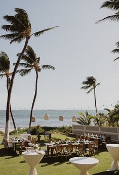 tables and chairs are set up on the lawn by the ocean with palm trees in the background