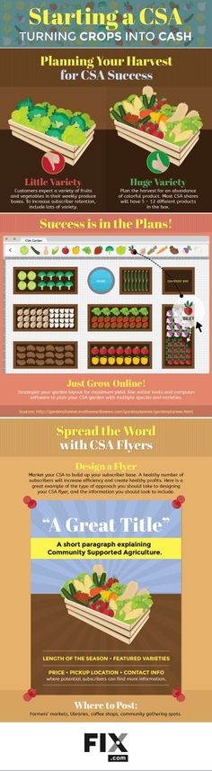 an info sheet showing different types of food