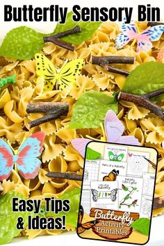 a close up of a plate of pasta with butterflies on it and text that reads butterfly sensory bin easy tips & ideas