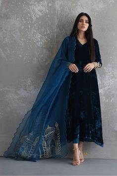 Velvet Suit Design, डिजाइनर कपड़े, Velvet Dress Designs, Pakistani Fancy Dresses, Trendy Dress Outfits, Beautiful Dress Designs