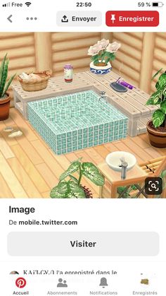 an image of a room with plants and other things on the floor, including a pool