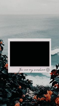 an empty photo frame sitting on top of some flowers near the ocean with waves in the background