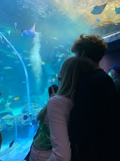 people looking at fish in an aquarium tank