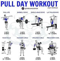 Pull Dumbbell Workout, Pull Workout Dumbbells, Pull Day Workout Dumbbell, Pull Day Workout Gym, Dumbell Pull Workout, Pull Day, Push Pull Workout Routine Dumbbells