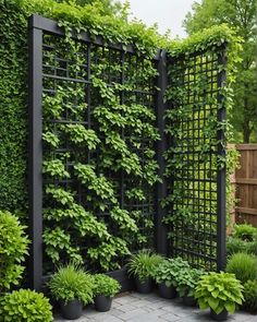 an outdoor garden with plants growing on the side of it and a trellis in the middle