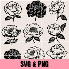 the svg and png flower collection