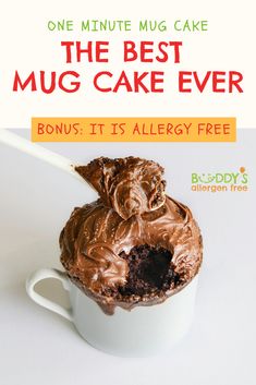 a mug cake with chocolate frosting in it