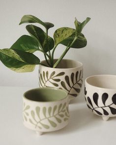 three ceramic bowls with plants in them on a table