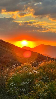 the sun is setting on top of a mountain with wildflowers in foreground