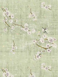 a green wallpaper with white flowers and birds on it's back drop down