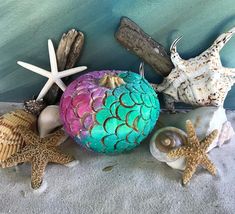 several seashells and starfish are on the sand next to a painted wall