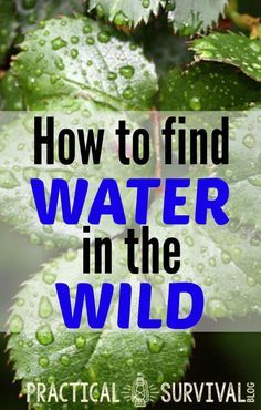 the cover of how to find water in the wild by practical survival guides, with text overlay