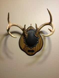 a deer's head mounted to the side of a wall with antlers on it