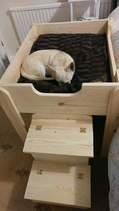 a white dog laying in a wooden bed