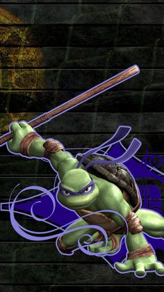 the teenaged ninja turtle is holding two swords