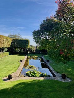 a small pond surrounded by lush green grass