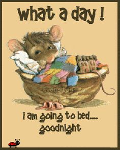 a card that says, what a day i am going to bed goodnight with a mouse