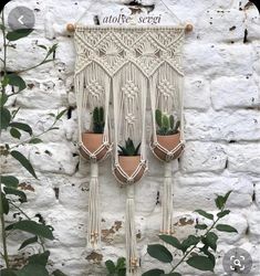 two potted plants are hanging on a wall with macrame and rope attached to them