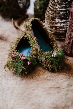 a pair of shoes covered in moss sitting on top of a fur floor next to a tree