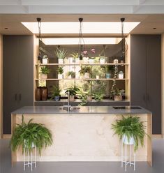 two plants are sitting on the counter in front of an open space with shelves full of potted plants