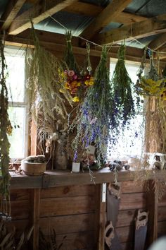 dried flowers hanging from the ceiling in a rustic room with wooden walls and beams on either side